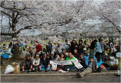 観桜会
